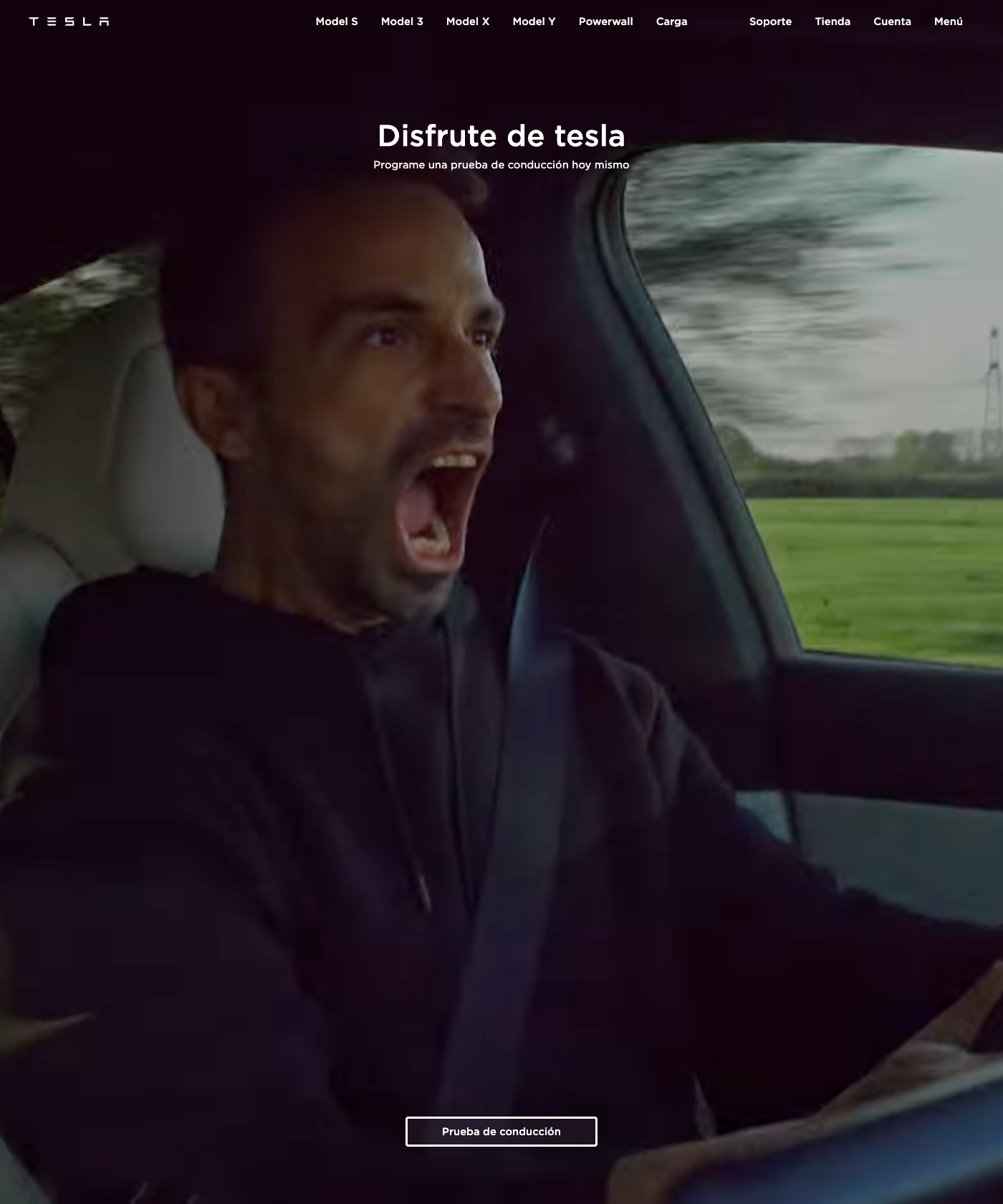 Screenshot of Landing Tesla